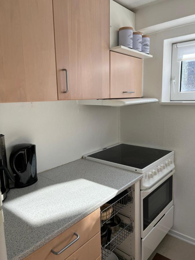 Hyggelig & Lys Kaelderlejlighed Herning Buitenkant foto
